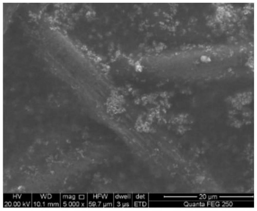 Preparation method of high-permeability carbon paper for fuel cell