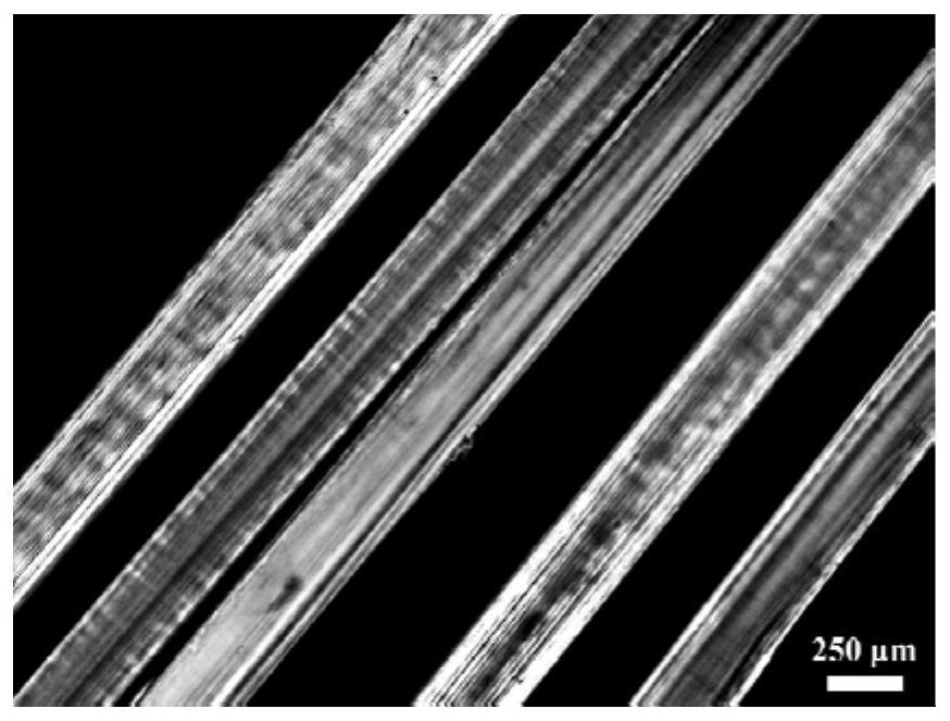 Preparation method of highly oriented high tenacity regenerated cellulose fiber and highly oriented high tenacity regenerated cellulose fiber