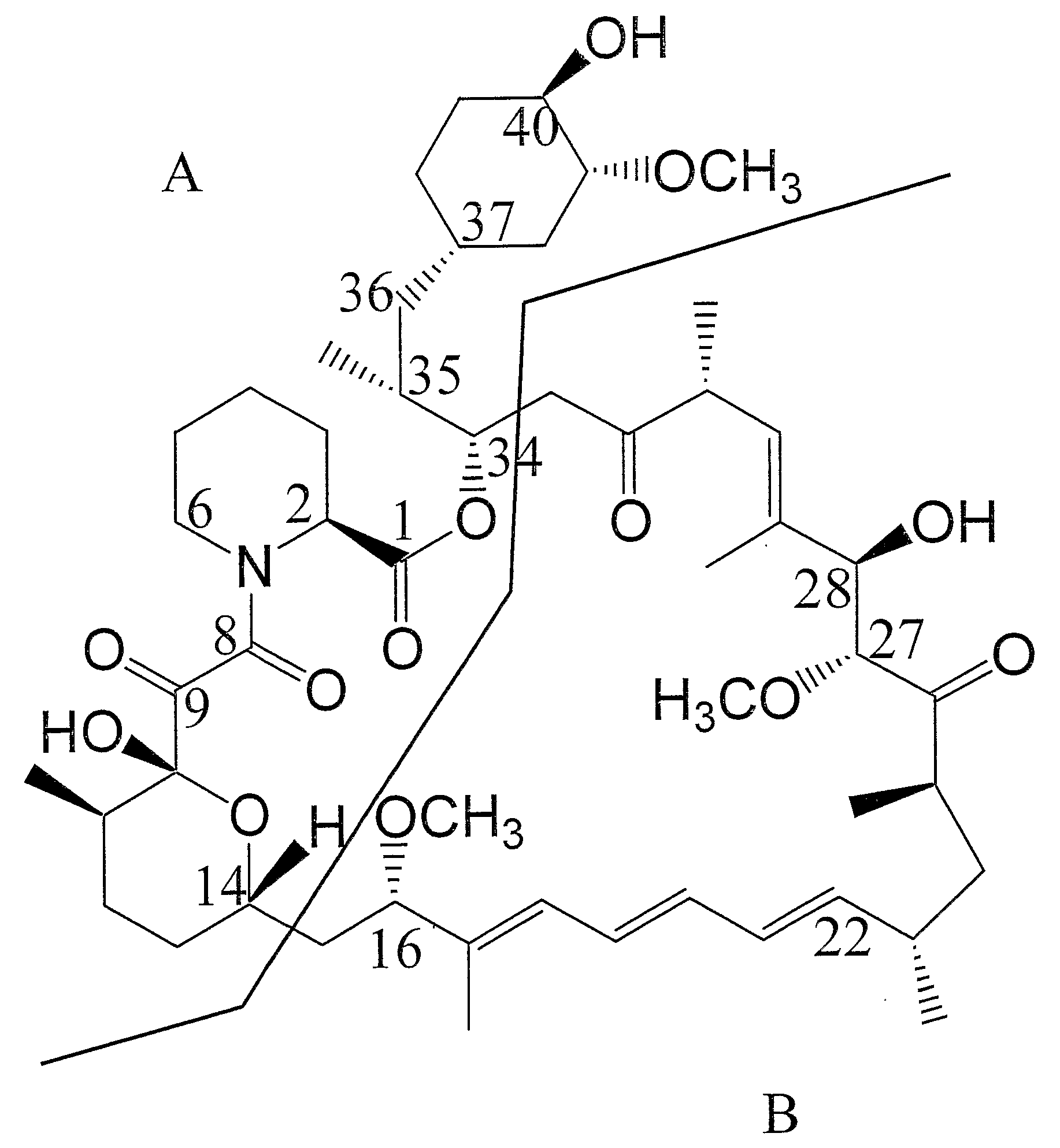 Production Of Polyketides And Other Natural Products