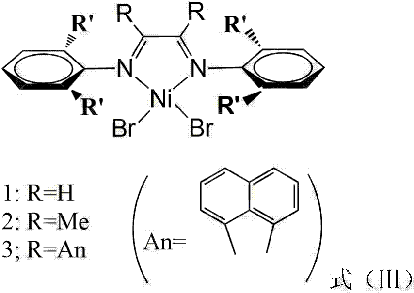Vinylene acenaphthene (alpha-diimine) nickel olefin catalyst, and preparation method and application thereof