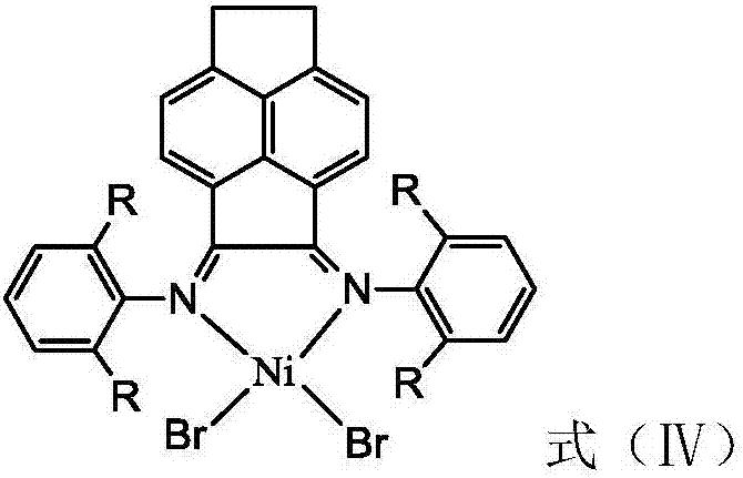 Vinylene acenaphthene (alpha-diimine) nickel olefin catalyst, and preparation method and application thereof