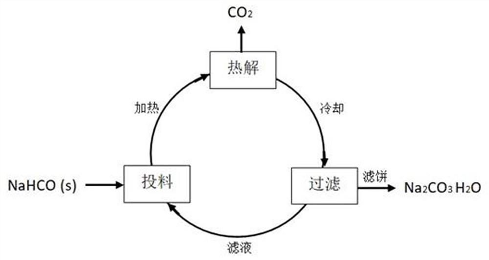 Process for preparing sodium carbonate crystal by wet pyrolysis of sodium bicarbonate solid