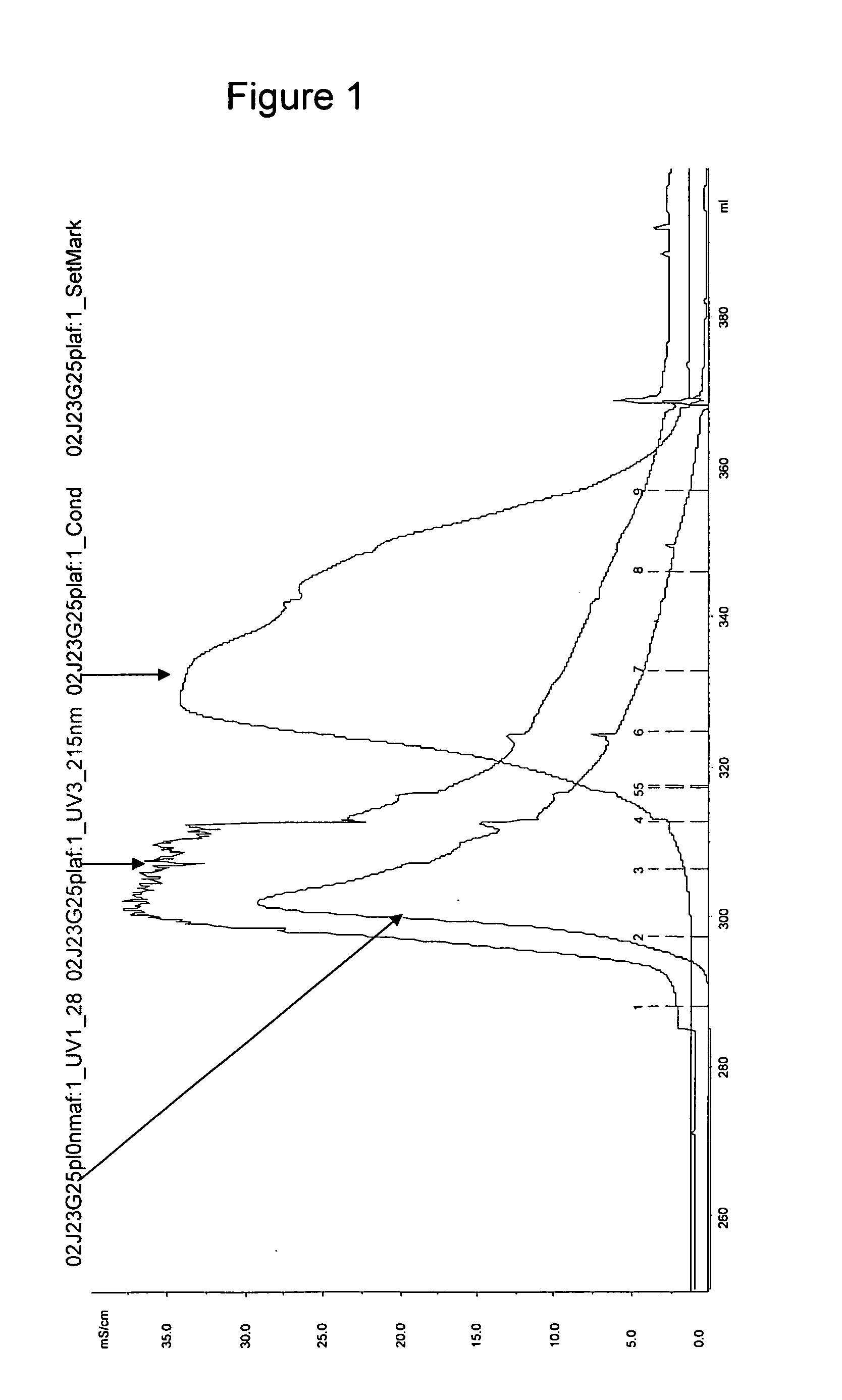 Amniotic-derived peptide and uses thereof