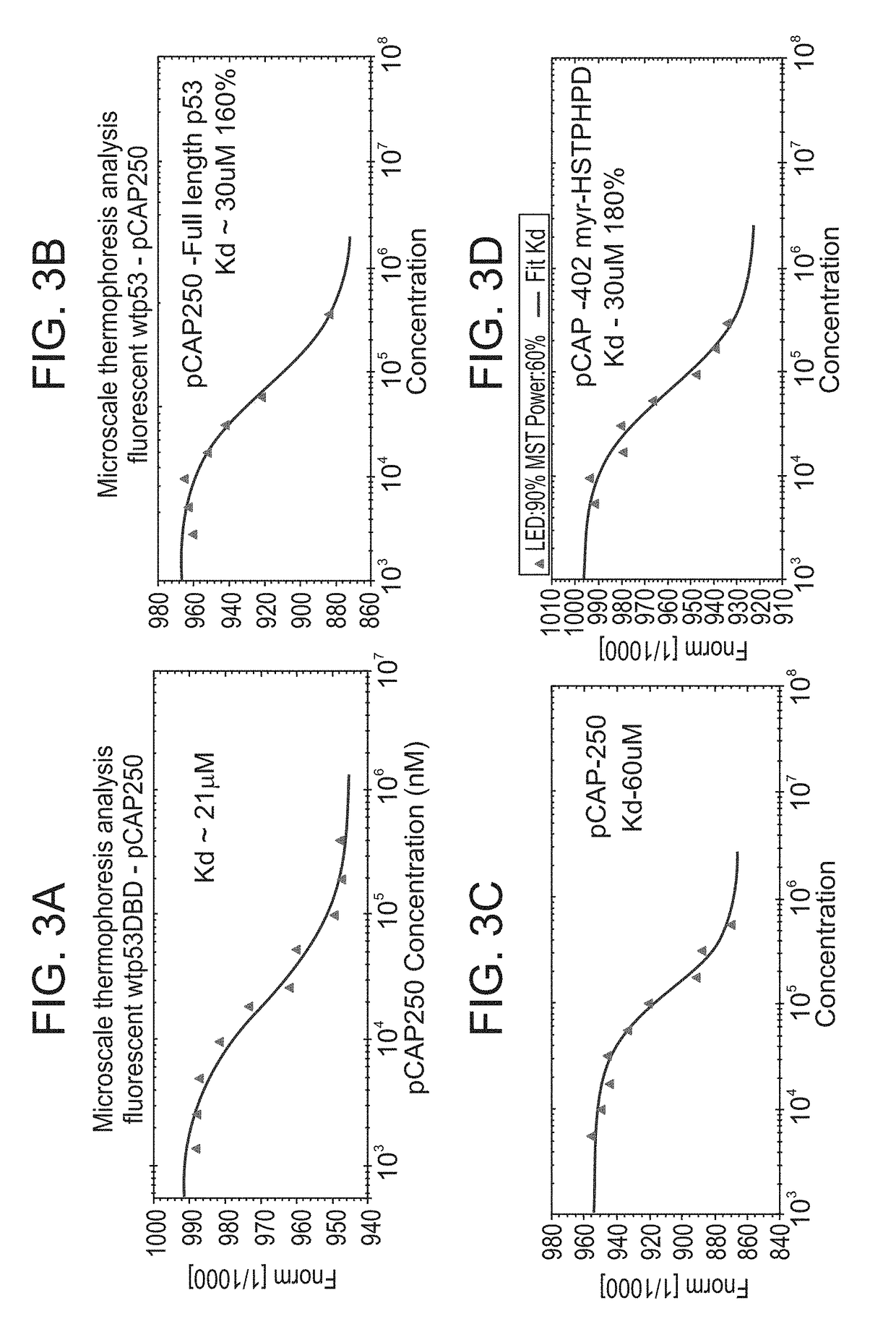 Peptides and use of same in the treatment of diseases, disorders or conditions associated with a mutant p53