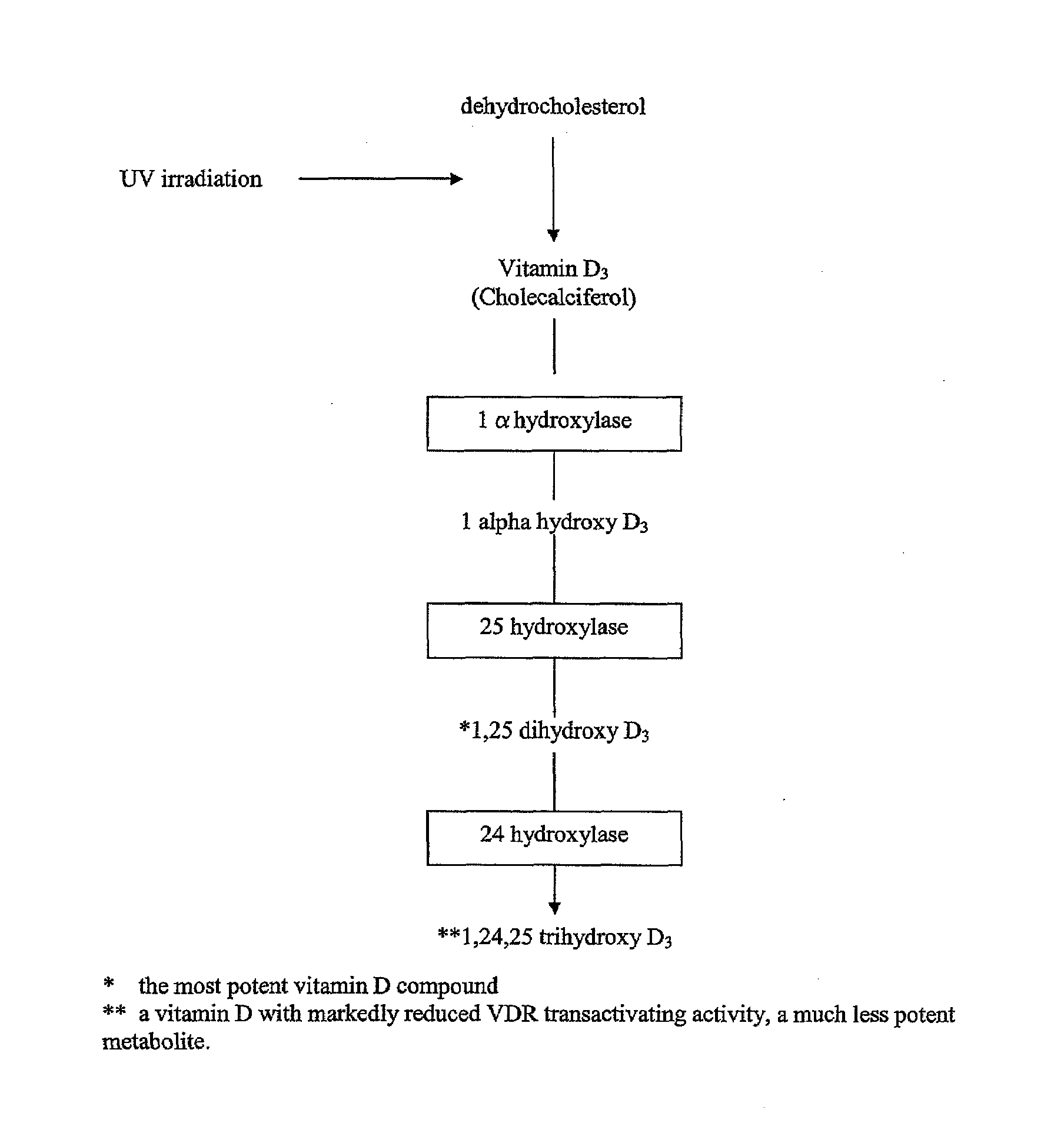 Method for identifying altered vitamin d metabolism