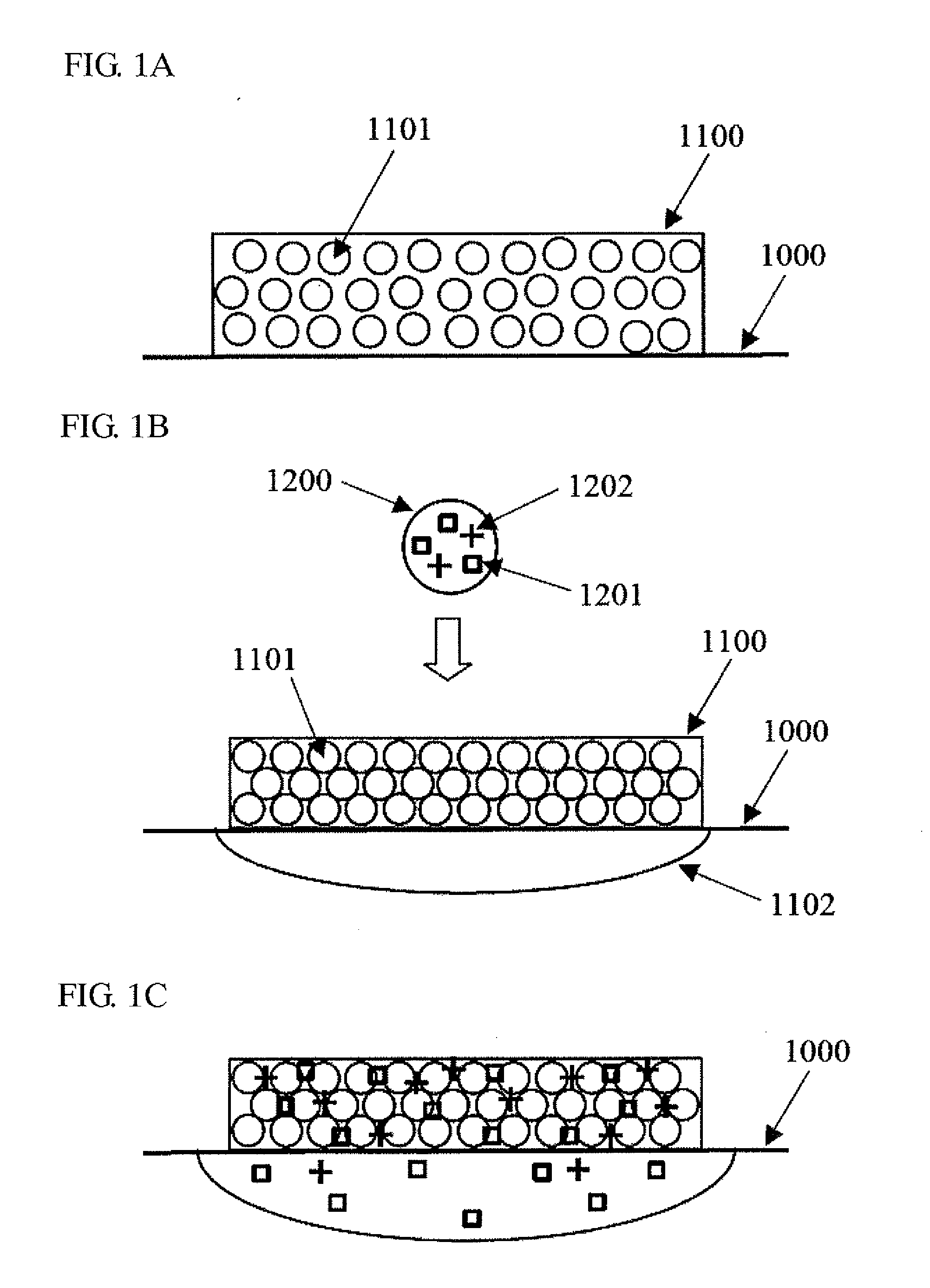 Image forming method, image forming apparatus, and ink jet recording apparatus