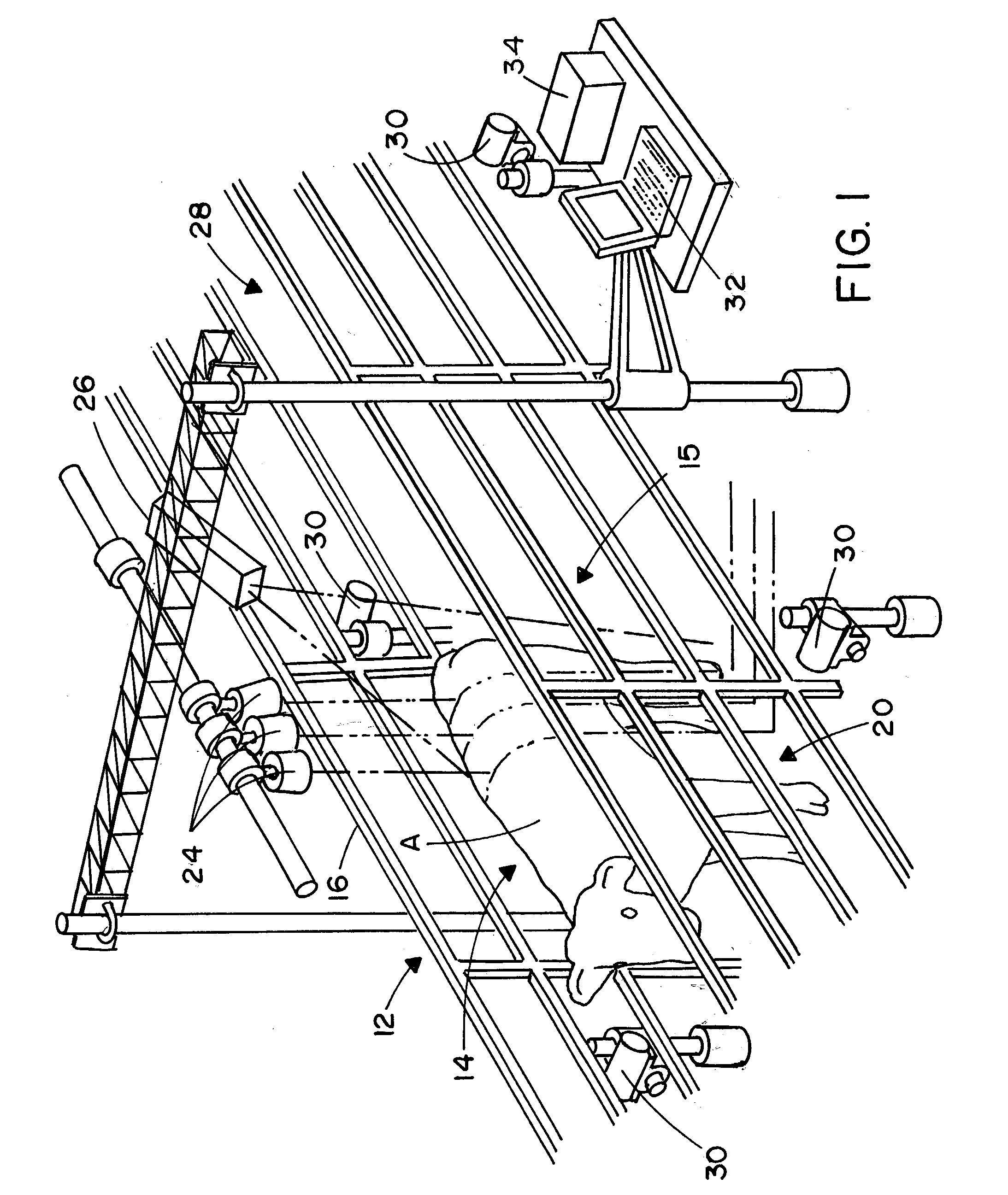 Methods and apparatus for the dimensional measurement of livestock using a single camera