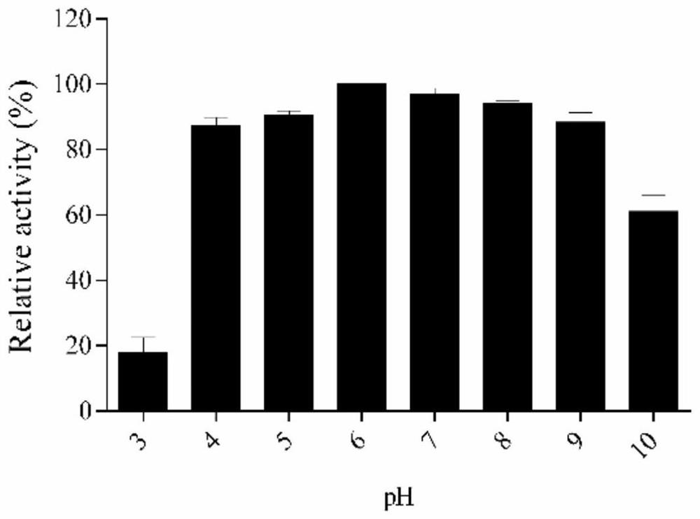 Application of phage depolymerase ORF38 protein in pasteurella multocida capsule typing identification