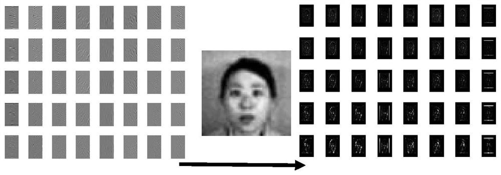 Feature extraction method for facial expression recognition based on Weber multi-directional descriptor