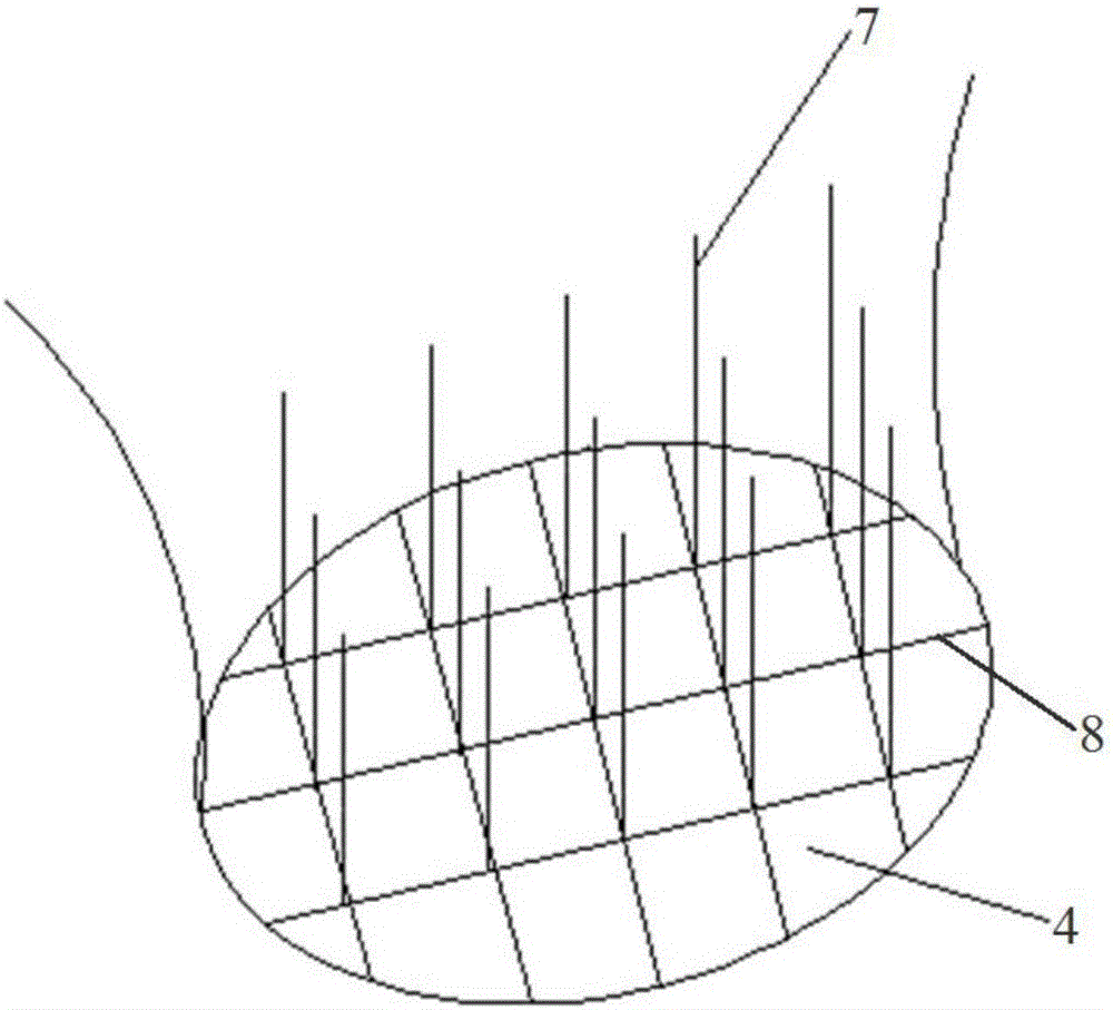 Handheld type hair collecting device and application thereof