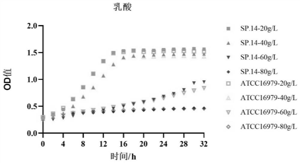 Schizosaccharomyces pombe with high acetic acid tolerance