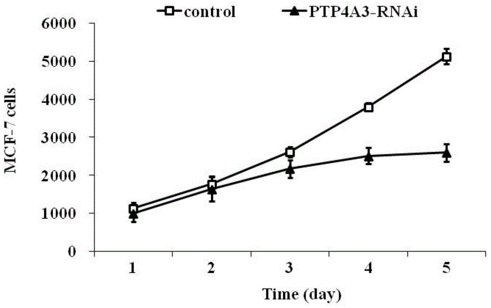 Applications of human PTP4A3 gene and related drugs thereof
