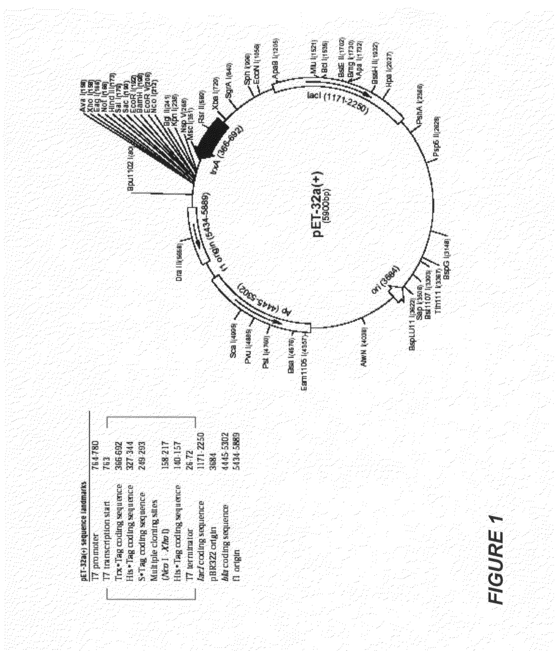 Influenza antibodies, compositions, and related methods