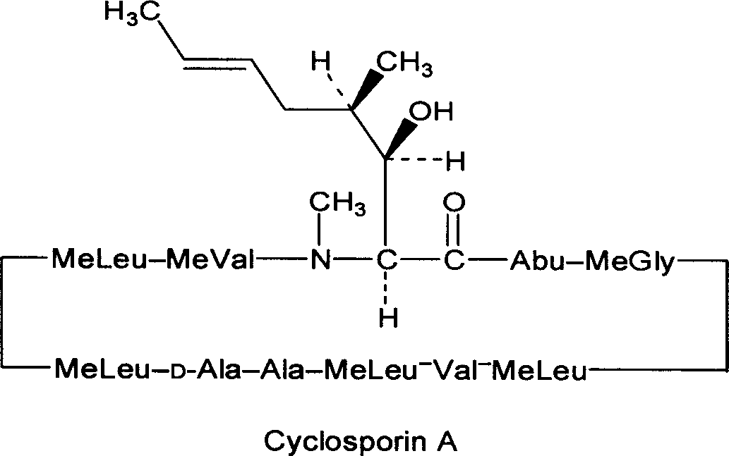 Cyclosporin A semisolid skeleton capsule and its preparation method