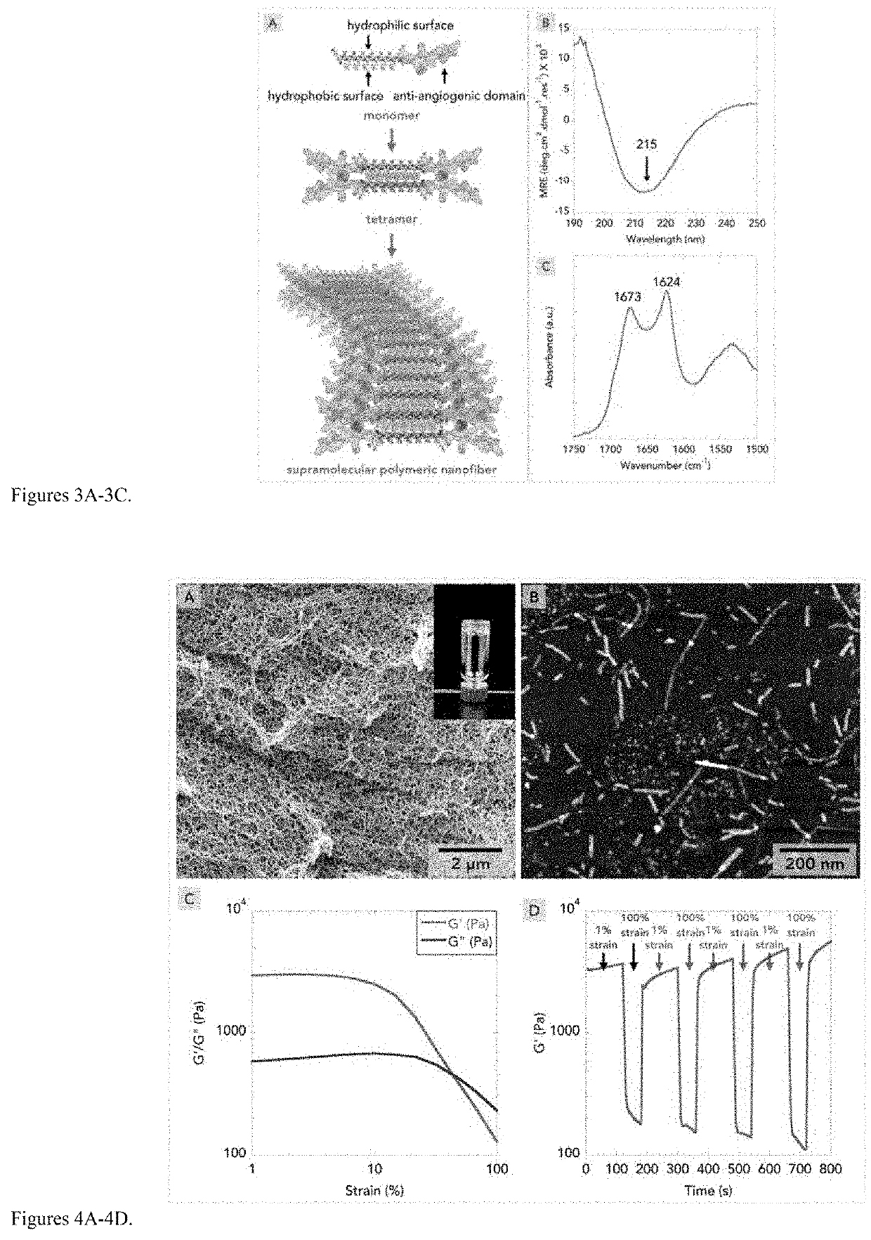 Protein Hydrogels For Treatment Of Neovascular Disease