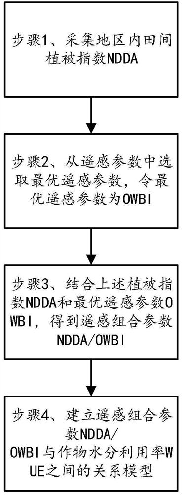 A method and system for rapid detection of water use efficiency of field wheat