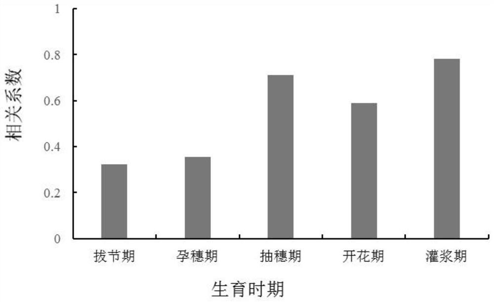 A method and system for rapid detection of water use efficiency of field wheat