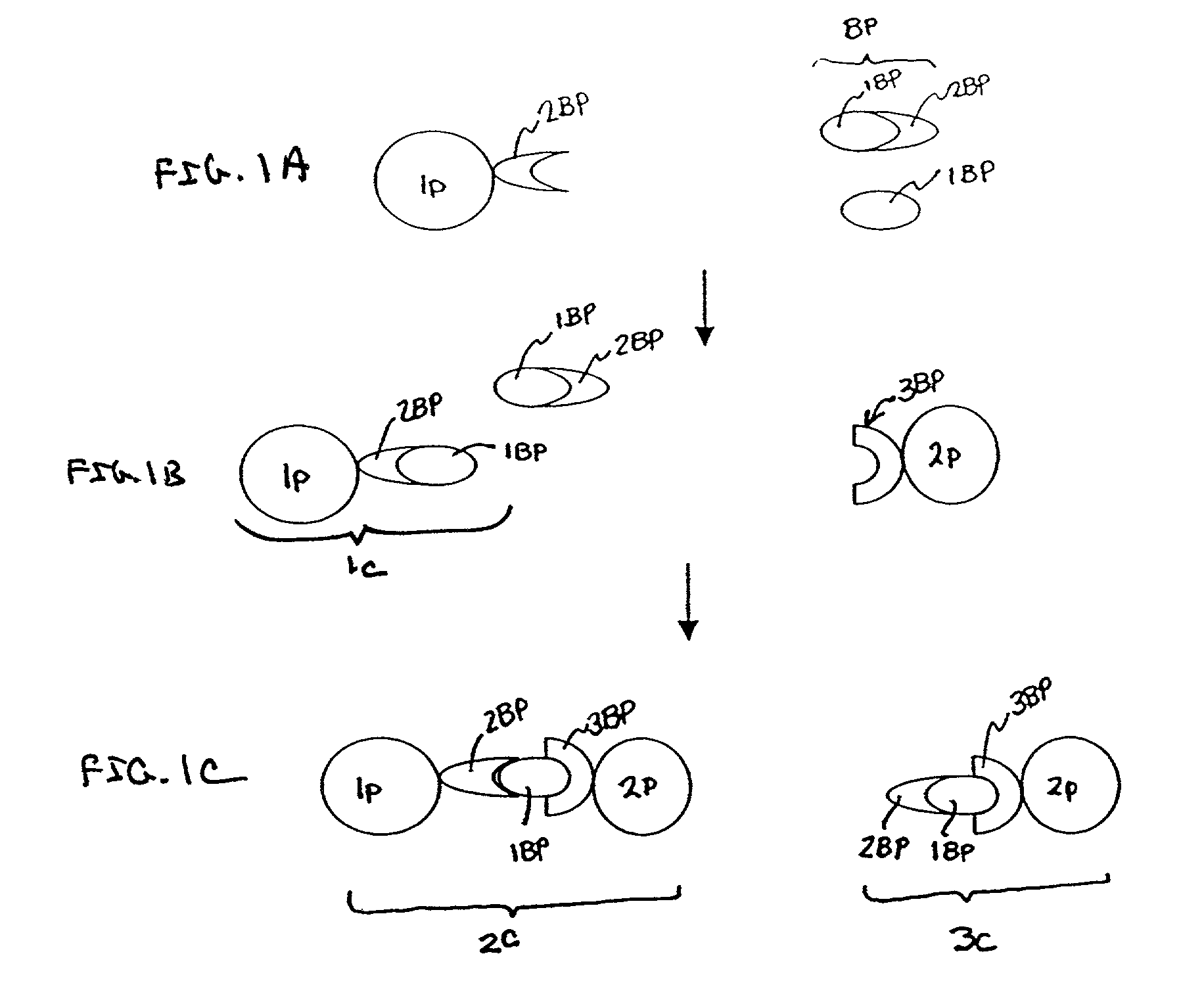 Free Analyte detection system