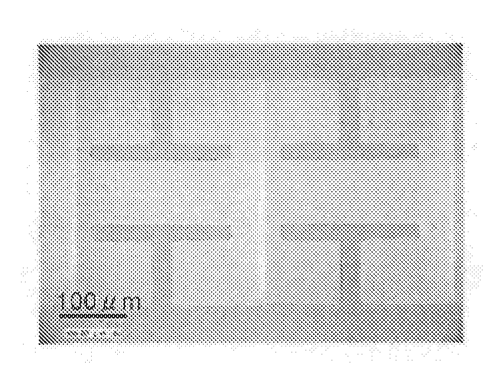 Transparent substrate with thin film and method for manufacturing transparent substrate with circuit pattern wherein such transparent substrate with thin film is used