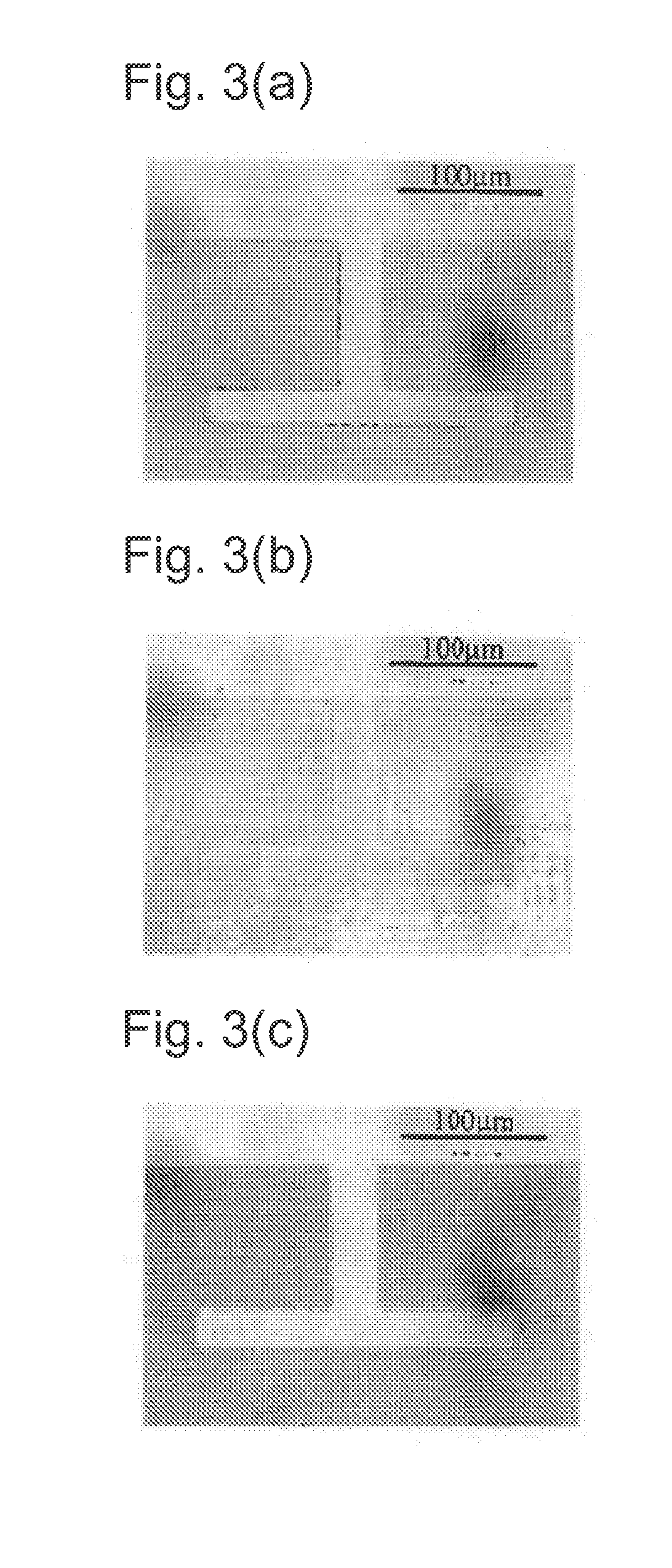Transparent substrate with thin film and method for manufacturing transparent substrate with circuit pattern wherein such transparent substrate with thin film is used