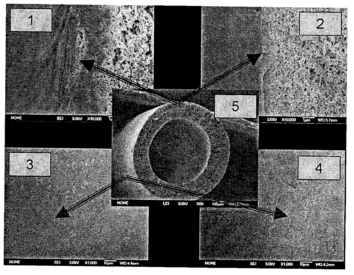 Asymmetric antioxidant permeable membrane and preparation method thereof