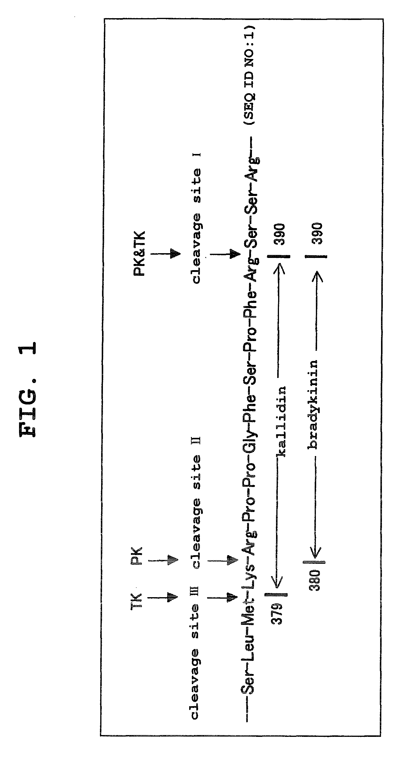 Aniline derivatives