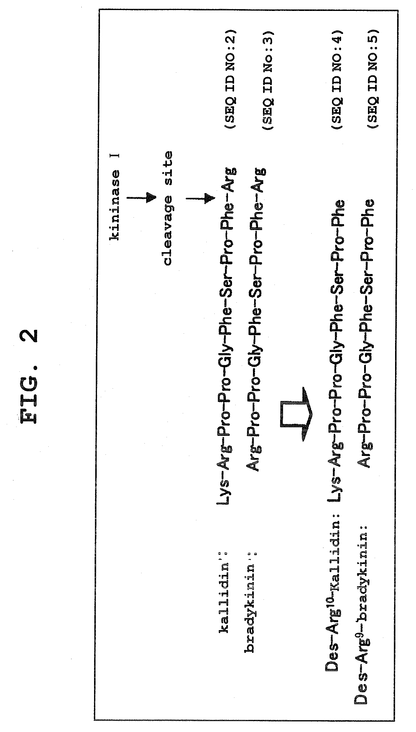 Aniline derivatives