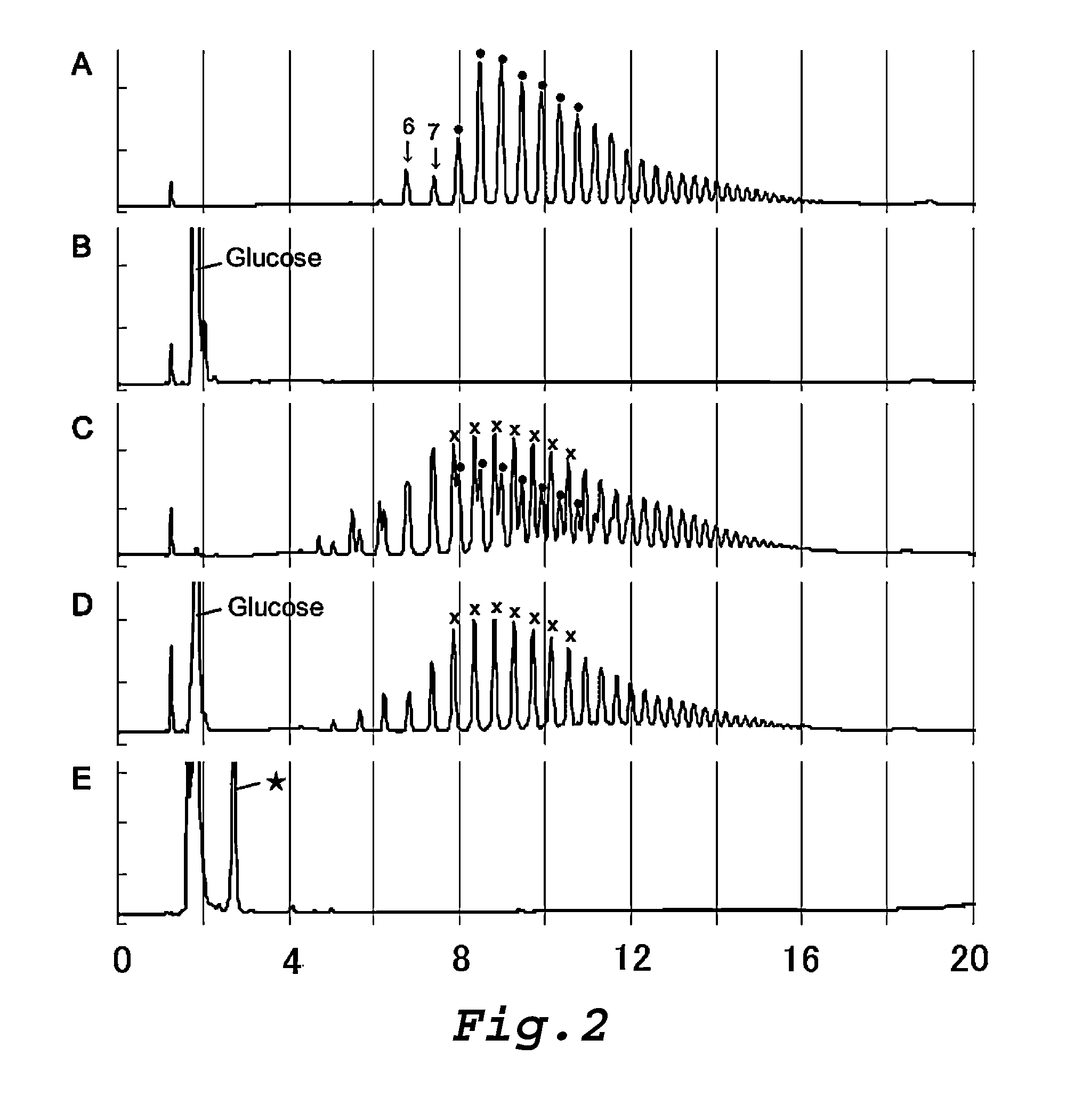 Amino sugar-containing glucan, method for producing same, and use thereof