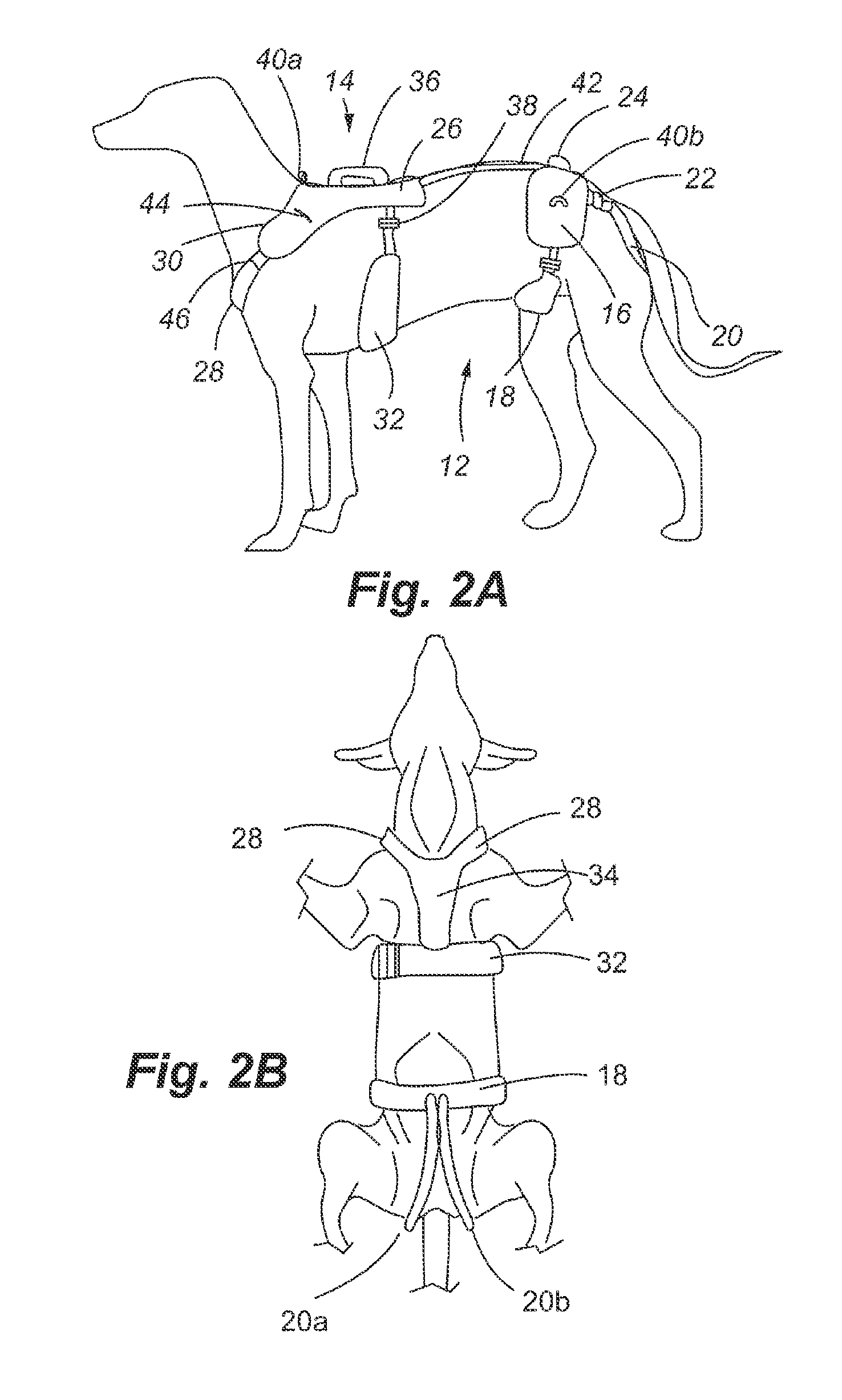 Hip Lift Harness Device and Method