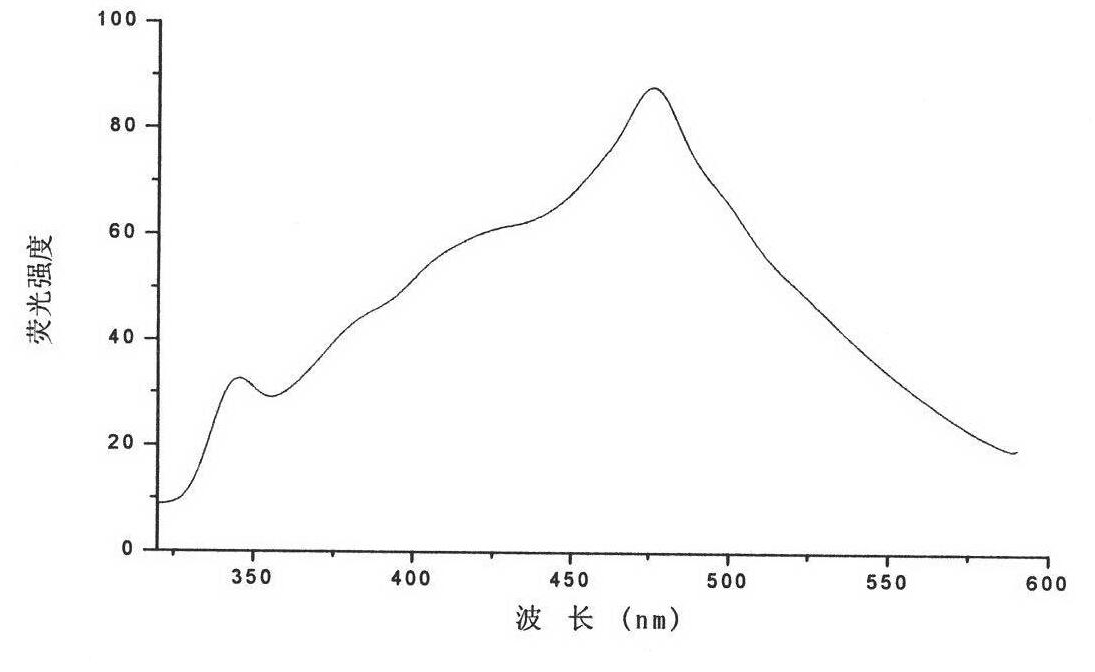 Fluorescent silver nanoparticle and preparation method thereof