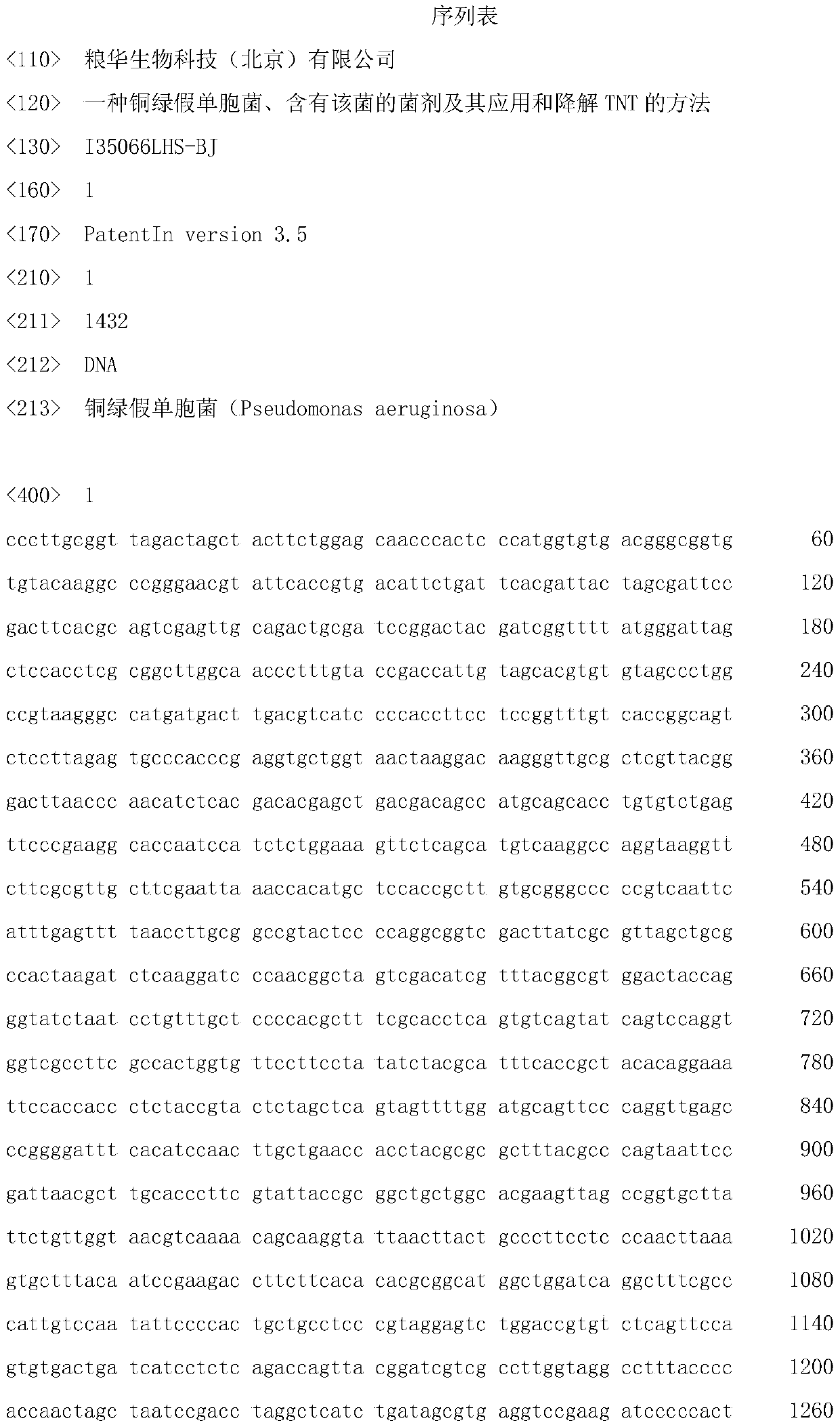 A kind of Pseudomonas aeruginosa, the bacterium agent containing this bacterium and its application and the method for degrading TNT