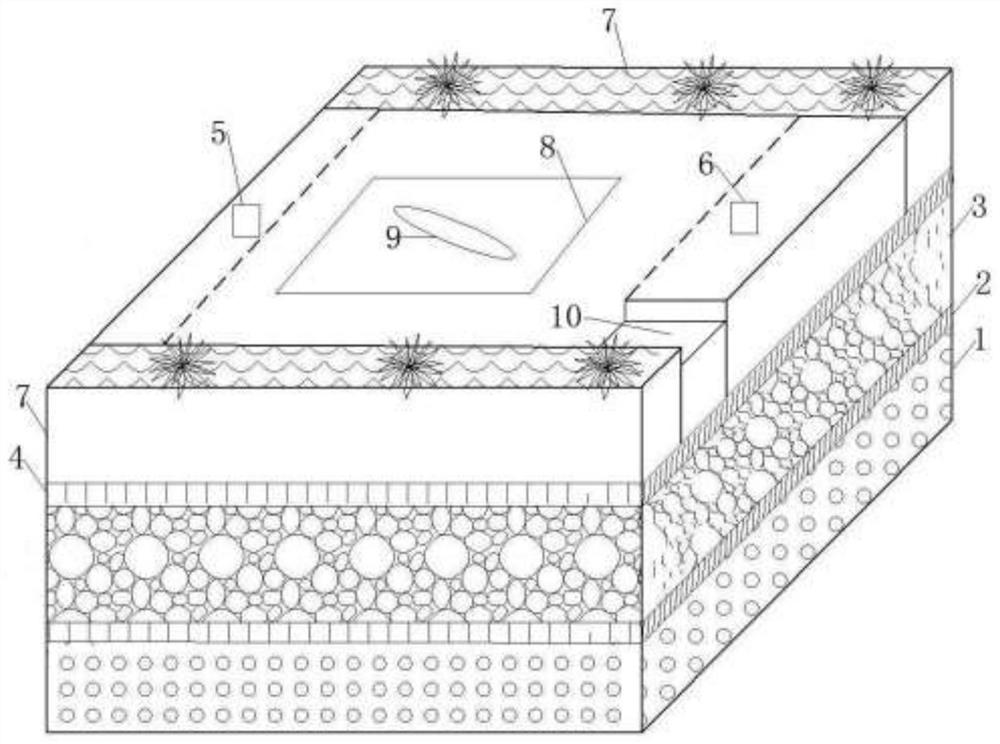 Efficient nitrogen and phosphorus removal composite ecological purification system and purification method