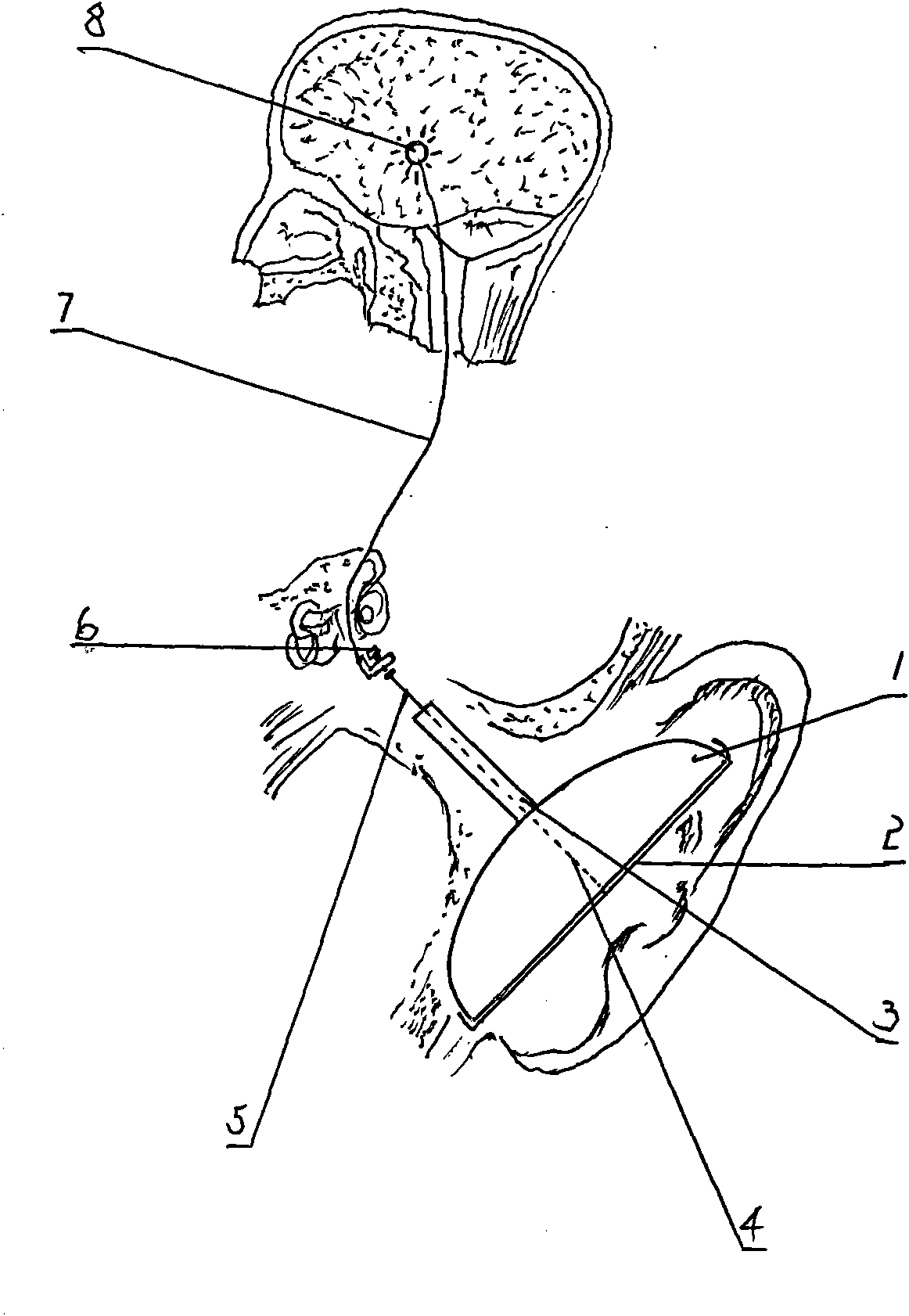 Dynamic demonstration model for sound being received by human ear