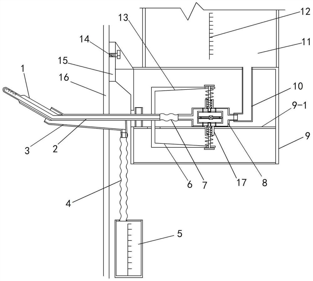 Device for accurately measuring water intake of non-human primate experimental animal