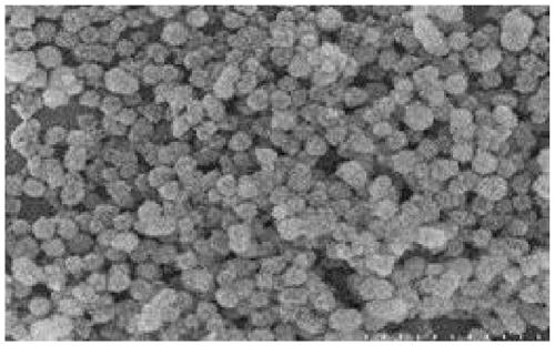 Preparation method of calcium phosphate microflowers