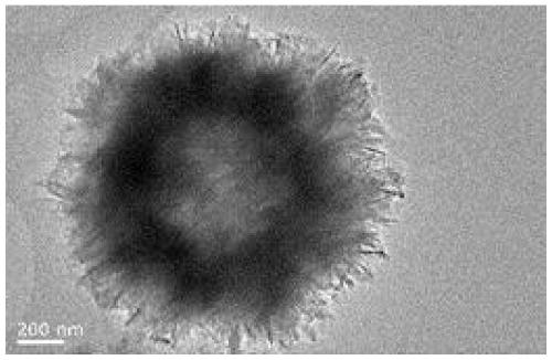 Preparation method of calcium phosphate microflowers