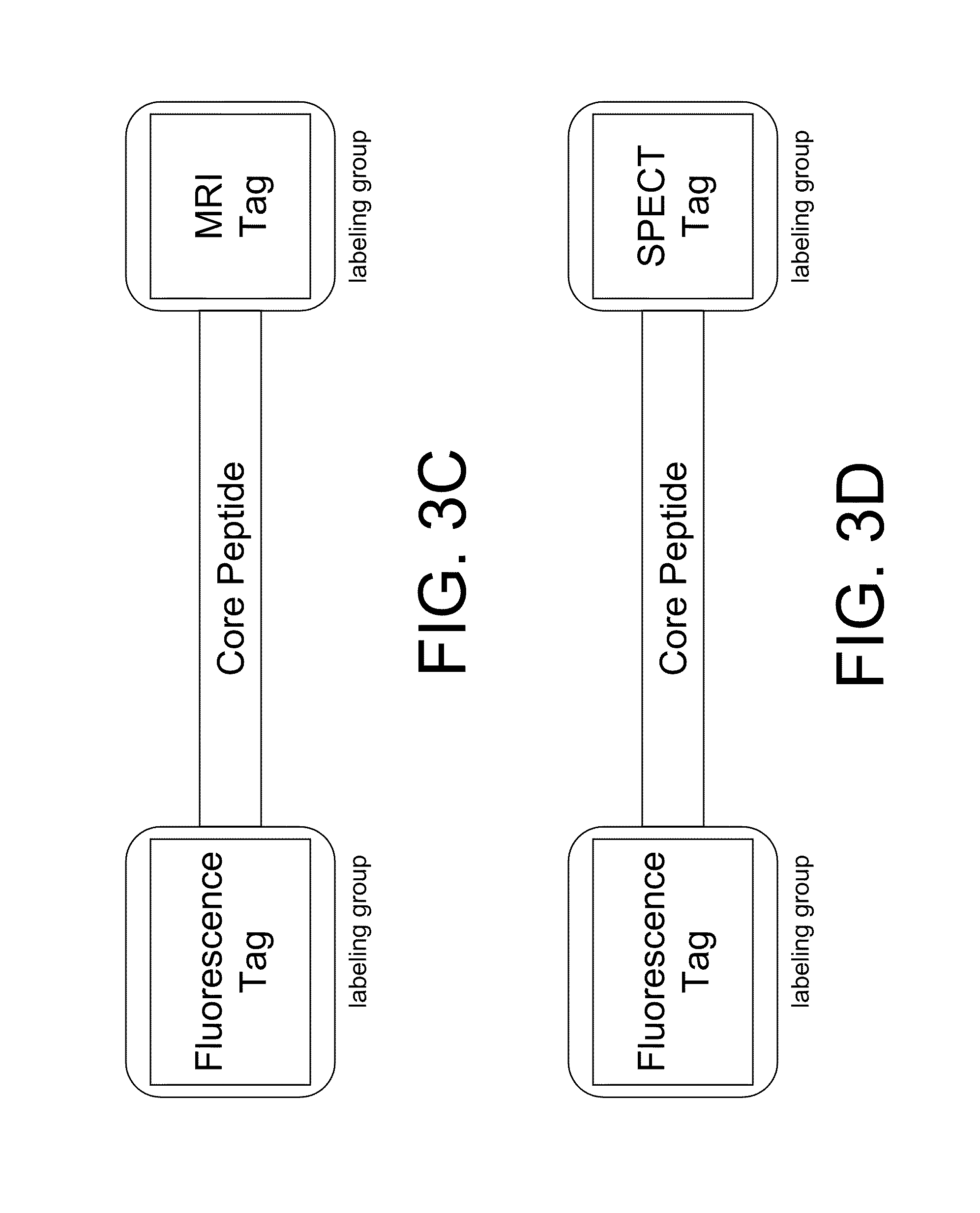 Smart contrast agent and method for detecting transition metal ions and treating related disorders