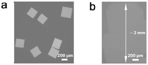 A two-dimensional bismuth oxyselenium atomic crystal material, its preparation method and application