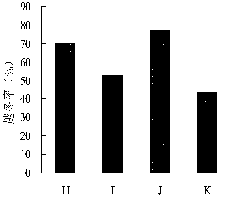 Artificial planting method for recovering secondary bare land in alpine region