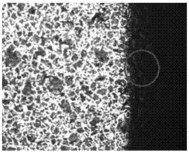 A kind of preparation method of lithium ferrous phosphide high temperature resistant phosphating film material for metal