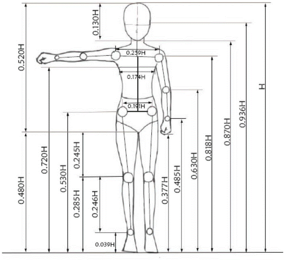Method of restoring three-dimensional human body posture from unmarked monocular image in combination with height map