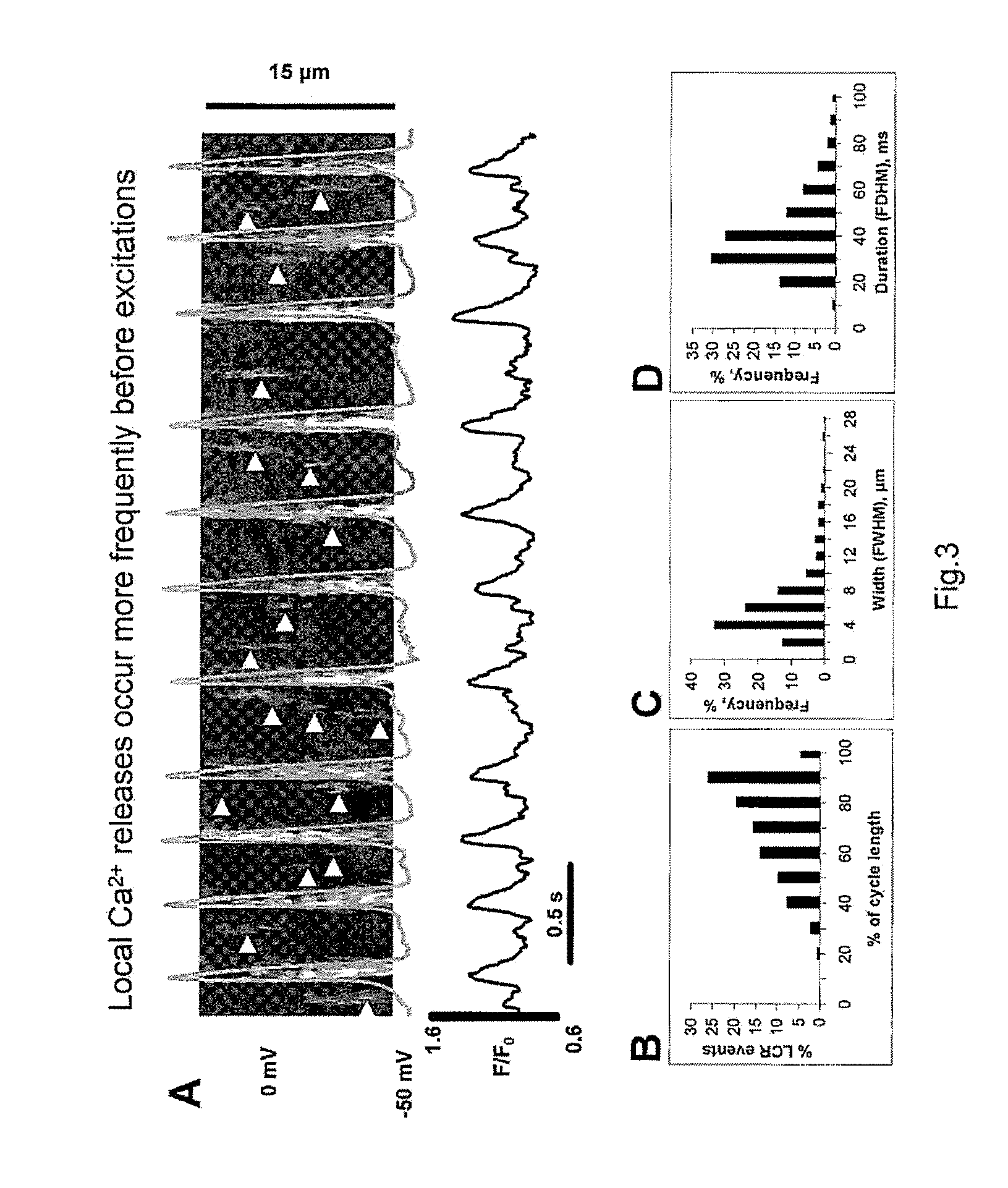 Engineered biological pacemakers