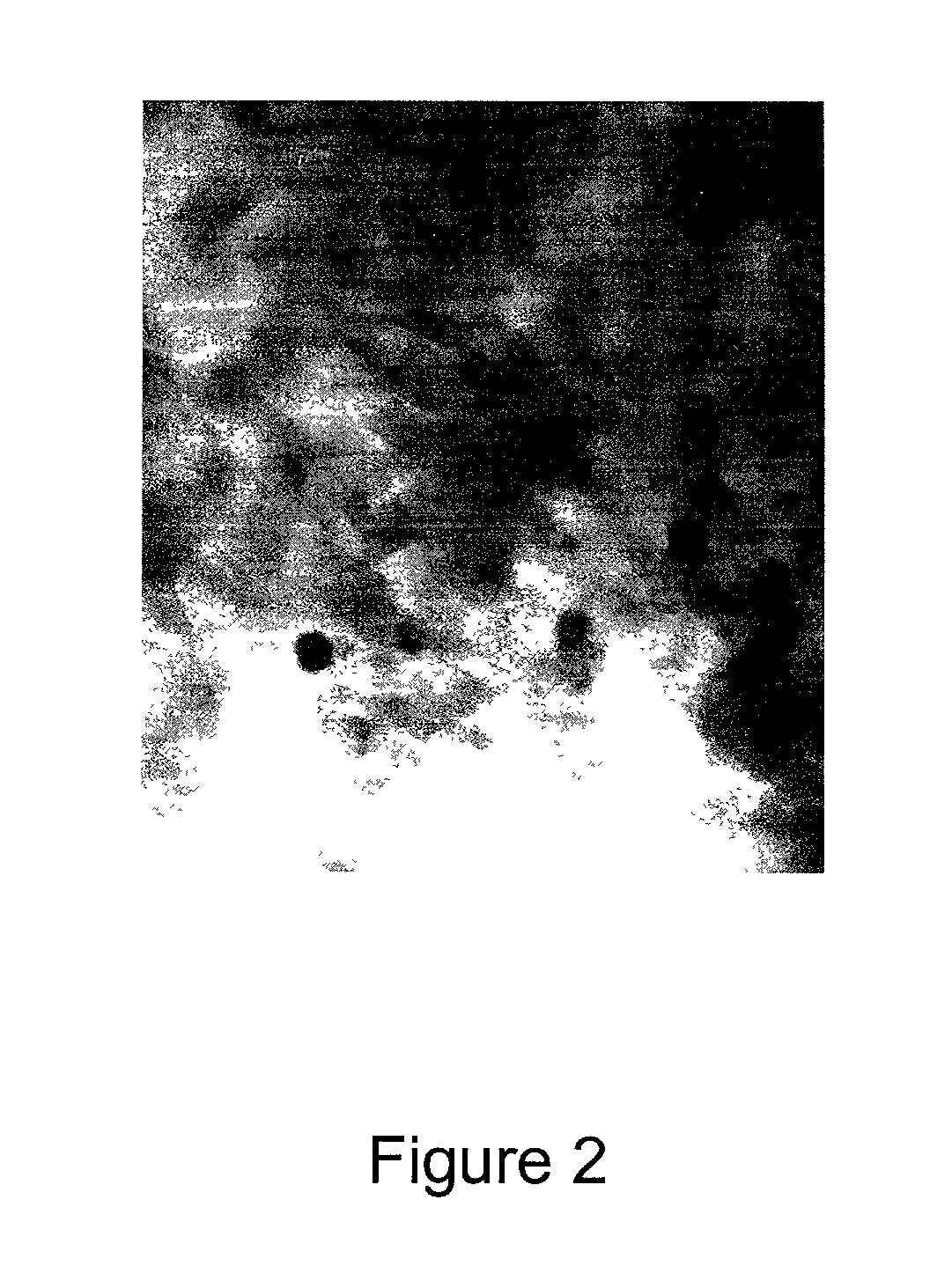 Tightly agglomerated non-oxide particles and method for producing the same