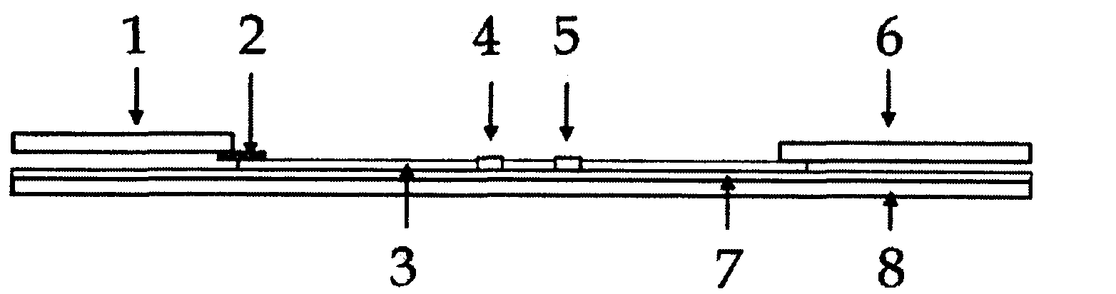 Preparation method of reagent plate for detecting chloramphenicol in cosmetics