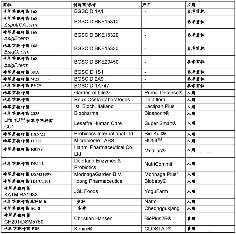 Production of fucosylated oligosaccharides in bacillus