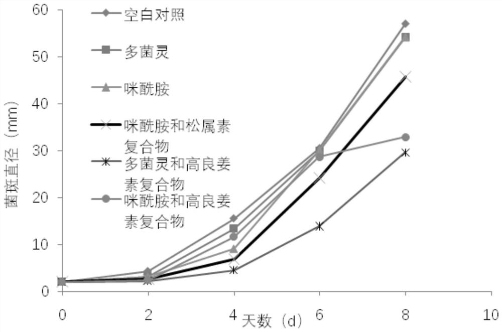 Application of a compound fungicide of carbendazim and galangin in citrus preservation