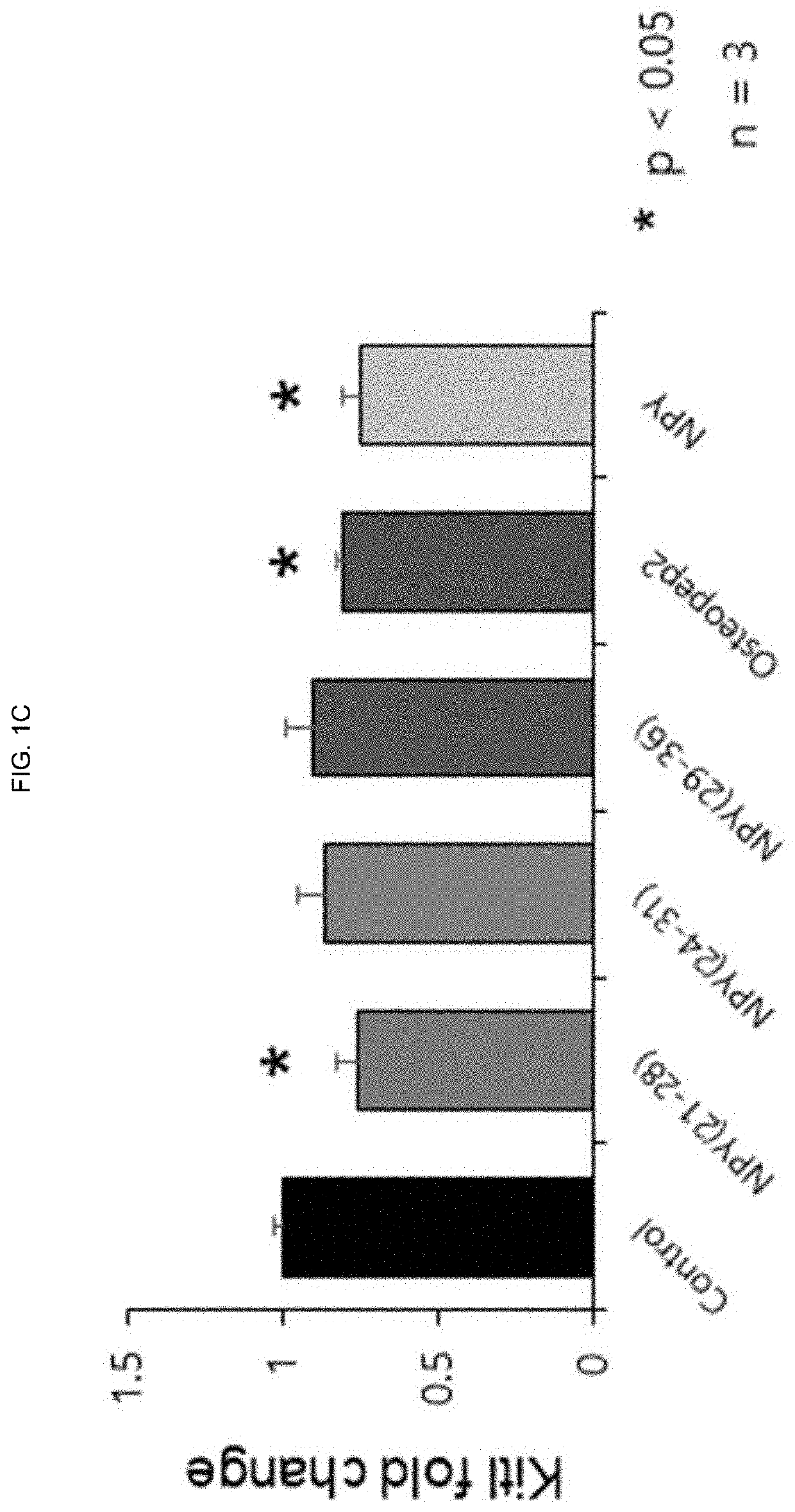 Novel peptide exhibiting effect of releasing hematopoietic stem cells into blood and osteoporosis therapeutic effect and use thereof