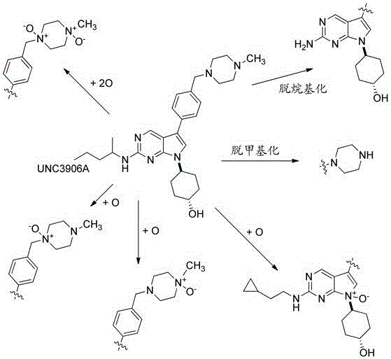 Mertk-specific pyrrolopyrimidine compounds