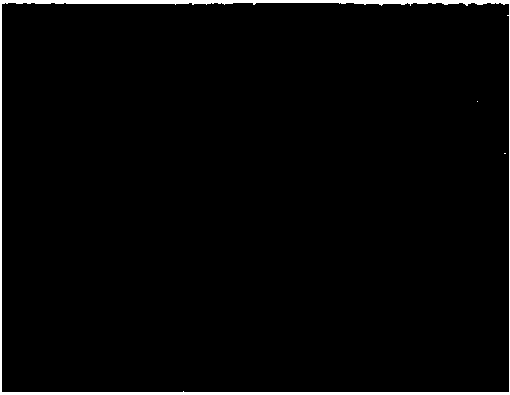 Method for preparing graphene powder by combustion synthesis