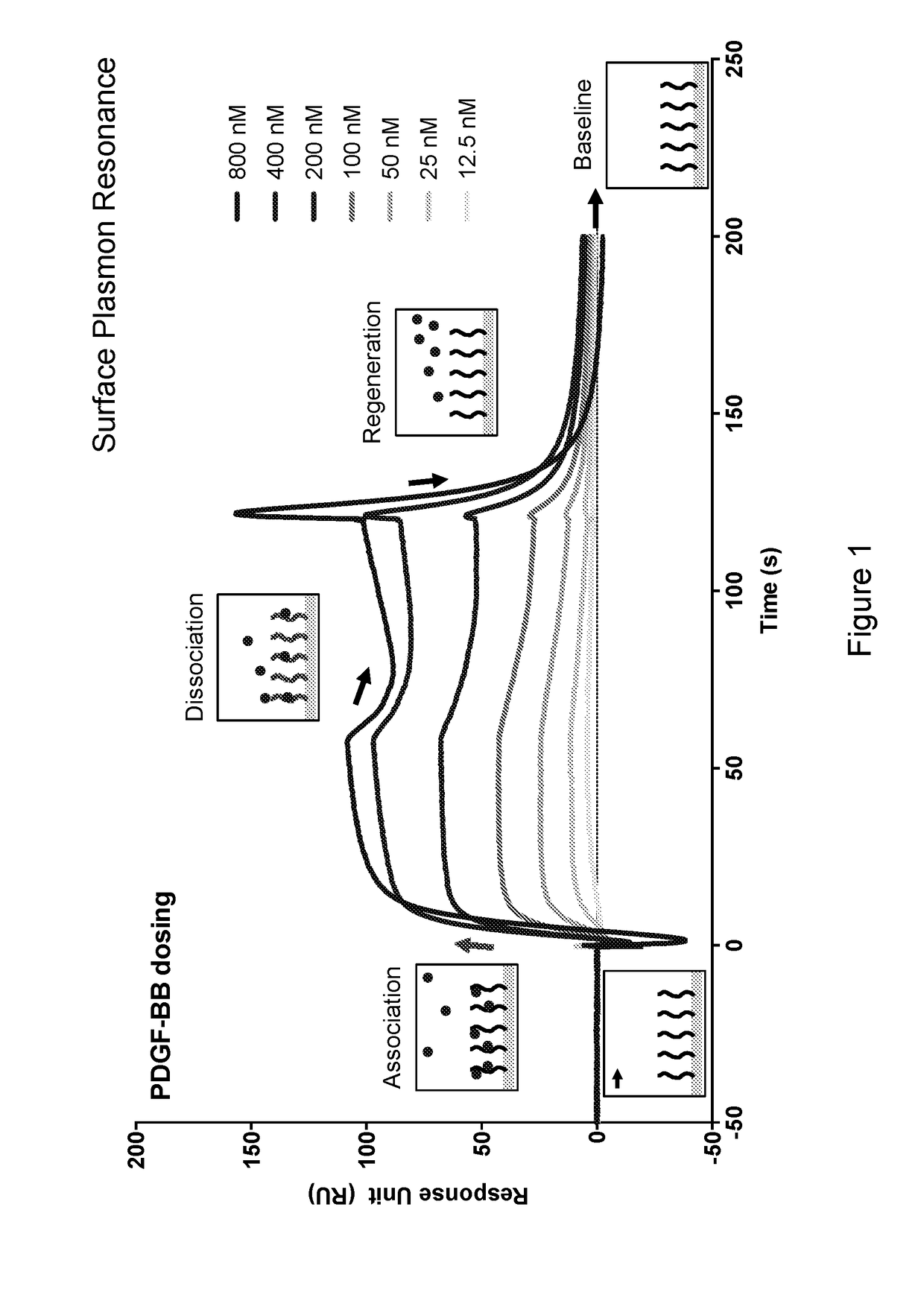 Pdgf-b /pdgf-bb binding variants of heparan sulfates